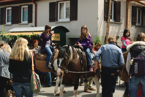 Pferde auf dem Hoffest 2012